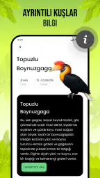 Kuş Sesleri 6