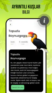 Kuş Sesleri screenshot