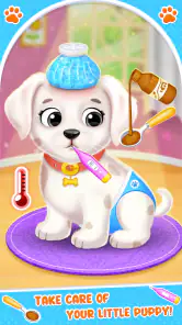 Labrador Köpek Bakım Salonu screenshot