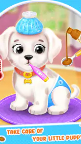 Labrador Köpek Bakım Salonu screenshot