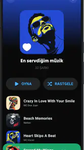 Lark Player: Müzik Çalar MP3 screenshot