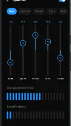 Lark Player: Müzik Çalar MP3 5
