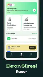 Logsy 2