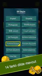 Ludo 3