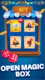 Ludo Online Dice Board Game 5