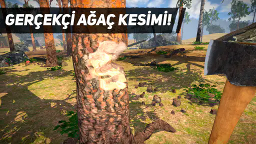 Lumberjack Simulator 3D 1