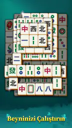 Mahjong Mingle 3