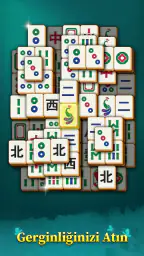Mahjong Mingle 5
