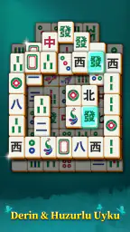 Mahjong Mingle 6
