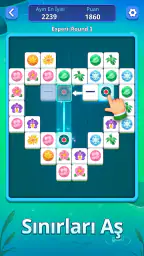Mahjong Slide: Zen 4