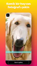 Mavi Çizgi: Face Scanner 4