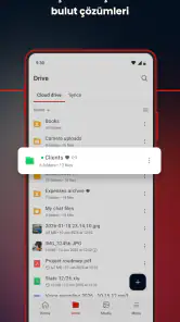 MEGA screenshot