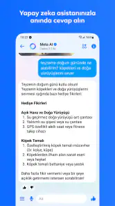Messenger screenshot