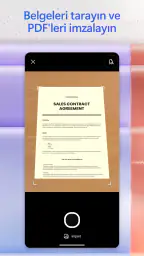 Microsoft 365 Copilot 5