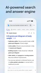 Microsoft Bing Search 2