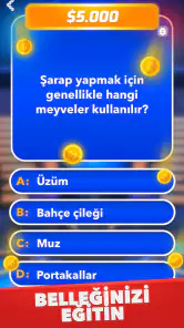 Milyoner - Türkçe Test Oyunu screenshot