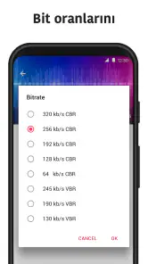 MP3 dönüştürücü-video cevirme screenshot