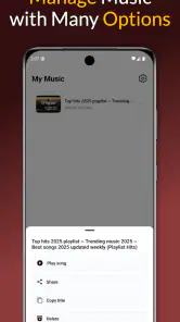 MP3 İndir screenshot
