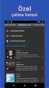 Müzik İndirme Programı | MP3 screenshot