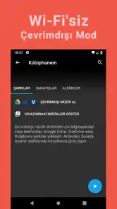 Müzik İndirme Programı | MP3 screenshot