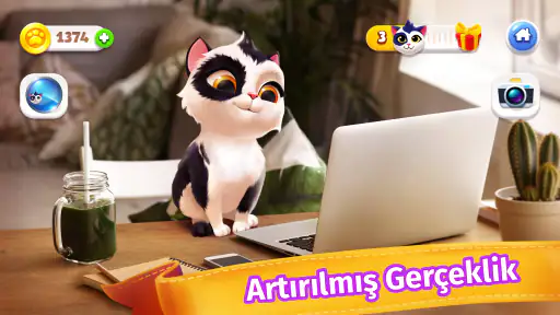 My Cat - Kedi oyunu Tamagotchi 6