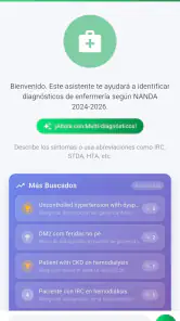 NANDA 2024 Diagnósticos IA screenshot