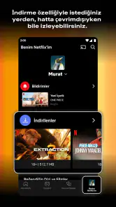Netflix screenshot