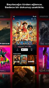 Netflix screenshot