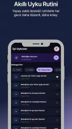 Ninni Parkı AI- İnternetsiz HD 3