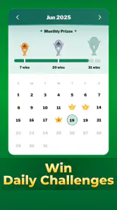 Örümcek Solitaire Oyunları screenshot