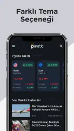 Paratic Haber: Ekonomi, Finans 7