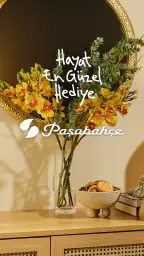 Paşabahçe 1