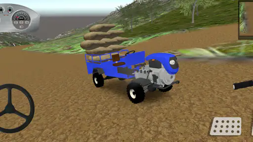 Patpat Hazelnut Transportation 6