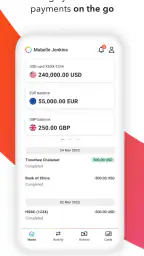 Payoneer 1