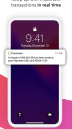 Payoneer 2