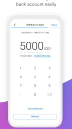 Payoneer 4