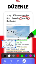 PDF Dönüştürücü - JPG to PDF 3