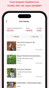 Petlebi screenshot