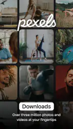 Pexels: HD+ videos & photos 6
