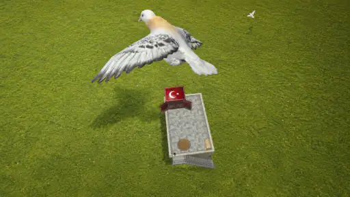 Pigeon Paradise 3