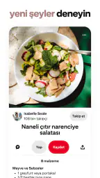 Pinterest 4