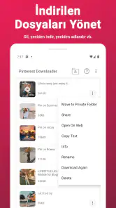 Pinterestten Video indirme screenshot