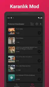 Pinterestten Video indirme screenshot