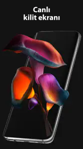 Pixel 4D Canlı Duvar Kağıtları screenshot