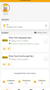 Pizza Taxi Tr screenshot