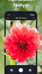 PlantIn: Bitki Tanımlama screenshot