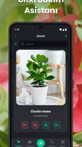PlantIn: Bitki Tanımlama screenshot