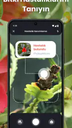 PlantIn: Bitki Tanımlama 3