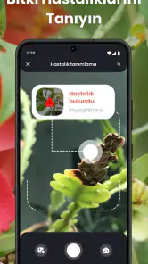 PlantIn: Bitki Tanımlama screenshot