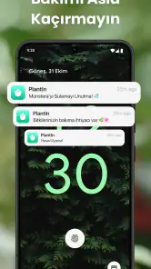 PlantIn: Bitki Tanımlama screenshot